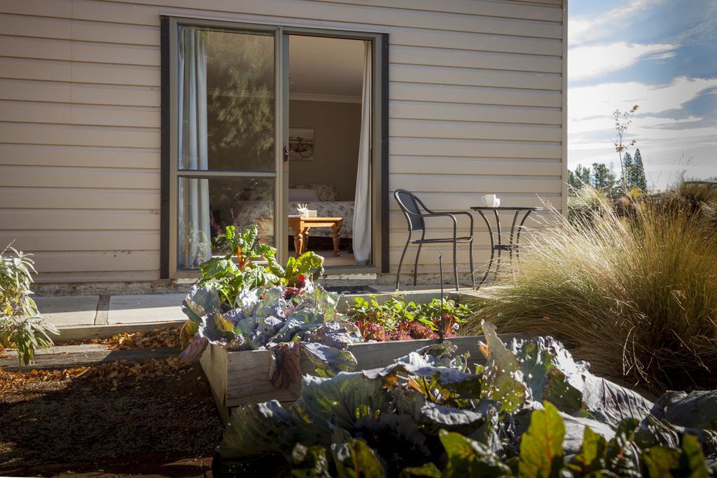 Trout 'N' Trail B&B Ranfurly Oda fotoğraf